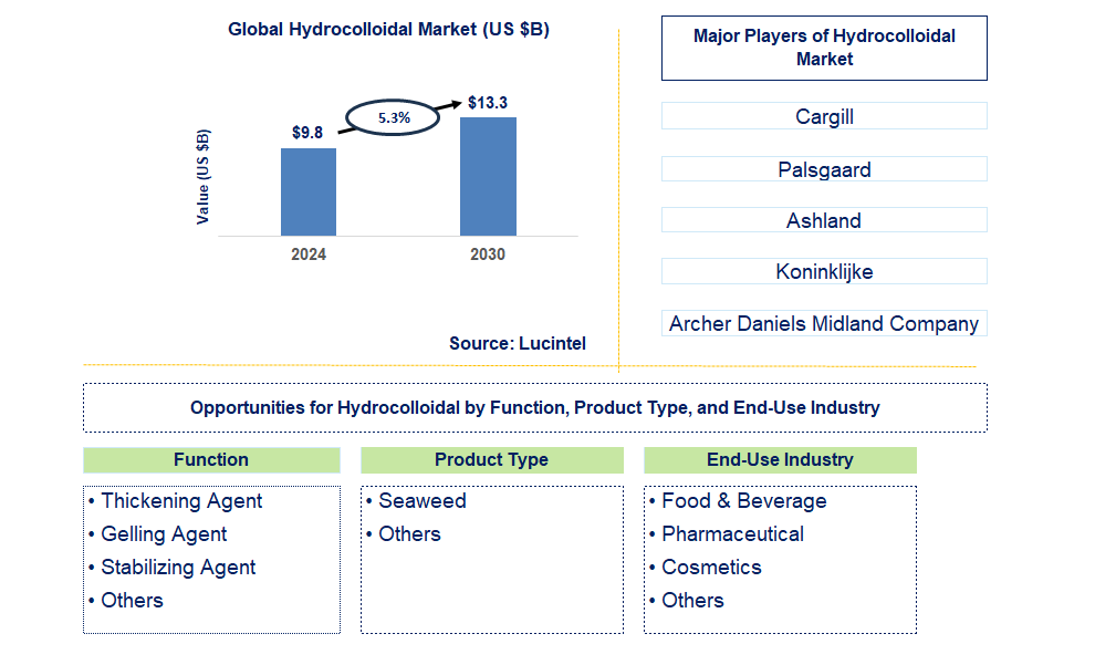 Hydrocolloidal Trends and Forecast